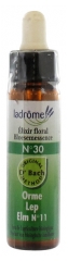 Ladrôme Fleurs De Bach Elixir Floral N°30 : Orme 10 ml Ladrôme Fleurs De Bach Elixir Floral N°30 : Orme 10 ml