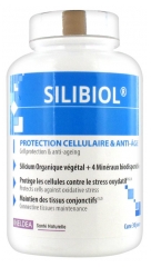 Ineldea Silibiol 90 Gélules Ineldea Silibiol 90 Gélules