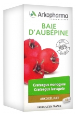 Arkopharma Arkogélules Shan Zha 45 gélules Arkopharma Arkogélules Shan Zha 45 gélules