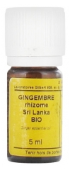 Le Comptoir Aroma Organic Essential Oil Ginger Sri Lanka 5ml Le Comptoir Aroma Organic Essential Oil Ginger Sri Lanka 5ml