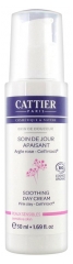 Cattier Brin de Douceur Beruhigende Tagespflege 50 ml Cattier Brin de Douceur Beruhigende Tagespflege 50 ml