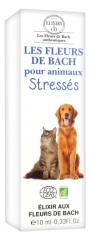 Elixirs & Co Bach Flowers for Pets Stress 10ml Elixirs & Co Bach Flowers for Pets Stress 10ml