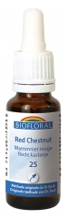 Biofloral Fleurs de Bach Confiance Sérénité Marronnier Rouge n°25 Bio 20 ml Biofloral Fleurs de Bach Confiance Sérénité Marronnier Rouge n°25 Bio 20 ml
