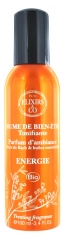 Elixirs & Co Energy Well-Being Mist Invigorating 100ml