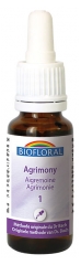 Biofloral Organic Bach Flowers Remedies Balance Calm Agrimony n°1 20 ml Biofloral Organic Bach Flowers Remedies Balance Calm Agrimony n°1 20 ml