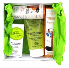 Elixirs & Co Box Vitalité Allégresse Elixirs & Co Box Vitalité Allégresse
