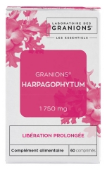 Granions Les Essentiels Harpagofito 1750 mg 60 Comprimidos Granions Les Essentiels Harpagofito 1750 mg 60 Comprimidos