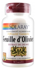 Solaray Feuille d'Olivier 30 Capsules Solaray Feuille d'Olivier 30 Capsules