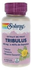 Solaray Tribulus Extrait de Fruit 60 Capsules Végétales Solaray Tribulus Extrait de Fruit 60 Capsules Végétales