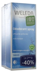Weleda Déodorant à la Sauge Lot de 2 x 100 ml Weleda Déodorant à la Sauge Lot de 2 x 100 ml