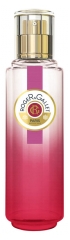 Roger & Gallet Fresh Fragrant Water Red Ginger 30ml Roger & Gallet Fresh Fragrant Water Red Ginger 30ml