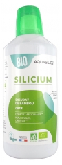 Aquasilice Silicium Bio 1 L Aquasilice Silicium Bio 1 L