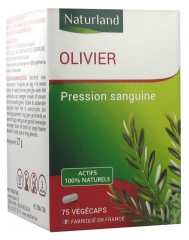 Naturland Olivo 75 Cápsulas Vegetales Naturland Olivo 75 Cápsulas Vegetales