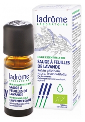 Ladrôme Essential Oil Lavender Leaf Sage (Salvia Officinalis Subsp.lavandulifolia) Organic 10 ml Ladrôme Essential Oil Lavender Leaf Sage (Salvia Officinalis Subsp.lavandulifolia) Organic 10 ml