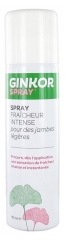 Tonipharm Ginkor Spray Spray Fraîcheur Intense pour Les Jambes 125 ml Tonipharm Ginkor Spray Spray Fraîcheur Intense pour Les Jambes 125 ml