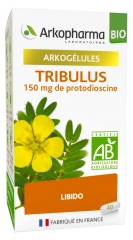 Arkopharma Arkogélules Tribulus Bio 40 Gélules Arkopharma Arkogélules Tribulus Bio 40 Gélules