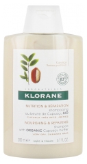 Klorane Shampoing au Beurre de Cupuaçu 200 ml Klorane Shampoing au Beurre de Cupuaçu 200 ml