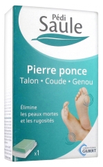 Gilbert Pédi Saule Pierre Ponce Gilbert Pédi Saule Pierre Ponce