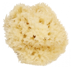 Cartel Paris Natural Sea Sponge 8 cm Cartel Paris Natural Sea Sponge 8 cm