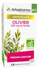 Arkopharma Arkocaps Olivier Bio 45 Kapseln Arkopharma Arkocaps Olivier Bio 45 Kapseln