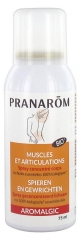 Pranarôm Aromalgic Spray Muskeln und Gelenke Organisch 75 ml Pranarôm Aromalgic Spray Muskeln und Gelenke Organisch 75 ml