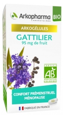 Arkopharma Arkogélules Gattilier Bio 60 Gélules Arkopharma Arkogélules Gattilier Bio 60 Gélules