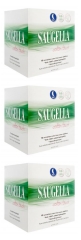 Saugella Cotton Touch Nuit Lot de 3 x 12 Serviettes Extra-fines avec Ailettes Saugella Cotton Touch Nuit Lot de 3 x 12 Serviettes Extra-fines avec Ailettes