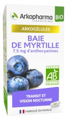 Arkopharma Arkogélules Baie de Myrtille Bio 45 Gélules Arkopharma Arkogélules Baie de Myrtille Bio 45 Gélules