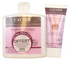 Cattier Shampoo Trockenes Haar Bambusmark Bio 250 ml + Reparierende Maske Trockenes Haar Bio 40 ml Geschenkt Cattier Shampoo Trockenes Haar Bambusmark Bio 250 ml + Reparierende Maske Trockenes Haar Bio 40 ml Geschenkt