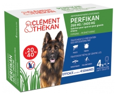 Clément Thékan Perfikan 268mg/2400mg Large Dogs 4 Pipettes Clément Thékan Perfikan 268mg/2400mg Large Dogs 4 Pipettes