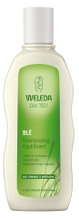 Weleda Shampoing Equilibrant au Blé 190 ml Weleda Shampoing Equilibrant au Blé 190 ml