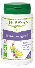 Herbesan Bio Bien-être Digestif 90 Gélules Herbesan Bio Bien-être Digestif 90 Gélules