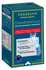 Herbesan Chondrofortium 90 Comrpimés Herbesan Chondrofortium 90 Comrpimés