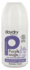 Biosme Déodorant Soin Probiotique Purple Sauge Roll-On 50 ml Biosme Déodorant Soin Probiotique Purple Sauge Roll-On 50 ml