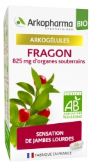 Arkopharma Arkogélules Fragon Bio 45 Gélules Arkopharma Arkogélules Fragon Bio 45 Gélules