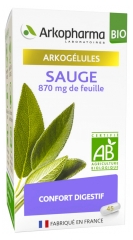 Arkopharma Arkogélules Sauge Bio 45 Gélules Arkopharma Arkogélules Sauge Bio 45 Gélules