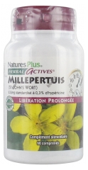 Natures Plus Herbal Actives Millepertuis Libération Prolongée 60 Comprimés Natures Plus Herbal Actives Millepertuis Libération Prolongée 60 Comprimés