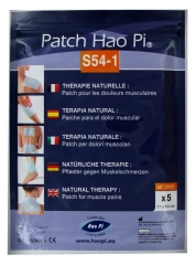 Hao Pi Patch S54-1 Douleurs Musculaires 5 Patchs Hao Pi Patch S54-1 Douleurs Musculaires 5 Patchs