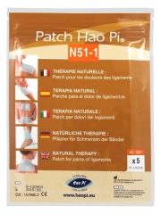 Hao Pi Patch N51-1 Douleurs des Ligaments 5 Patchs Hao Pi Patch N51-1 Douleurs des Ligaments 5 Patchs