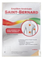 Saint-Bernard Emplâtre Américain Saint-Bernard Emplâtre Américain