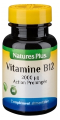 Natures Plus Vitamin B12 Prolonged Action 60 Tablets Natures Plus Vitamin B12 Prolonged Action 60 Tablets