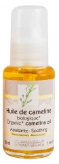 Laboratoire du Haut-Ségala Huile de Cameline Bio 50 ml Laboratoire du Haut-Ségala Huile de Cameline Bio 50 ml