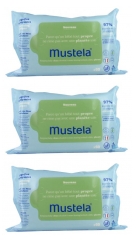 Mustela Lingettes Nettoyantes à l'Avocat Lot de 3 x 70 Lingettes Mustela Lingettes Nettoyantes à l'Avocat Lot de 3 x 70 Lingettes