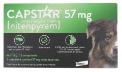 Elanco Capstar Chien dès 11 kg 6 Comprimés Elanco Capstar Chien dès 11 kg 6 Comprimés
