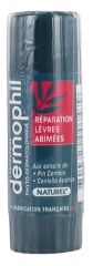 Dermophil Indien Damaged Lips Repair Stick 4g Dermophil Indien Damaged Lips Repair Stick 4g