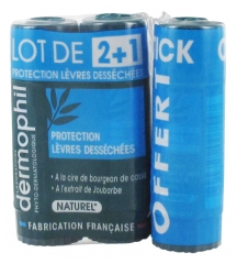 Dermophil Indien Protection Lèvres Desséchées Stick Lot de 2 x 4 g + 1 Offert Dermophil Indien Protection Lèvres Desséchées Stick Lot de 2 x 4 g + 1 Offert