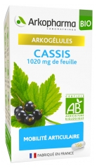 Arkopharma Arkogélules Cassis Bio 150 Gélules Arkopharma Arkogélules Cassis Bio 150 Gélules