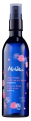 Melvita Eau Florale de Rose Ancienne Bio Flacon Vaporisateur 200 ml Melvita Eau Florale de Rose Ancienne Bio Flacon Vaporisateur 200 ml