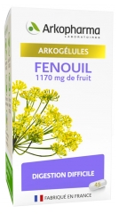 Arkopharma Arkogélules Fenouil 45 Gélules Arkopharma Arkogélules Fenouil 45 Gélules