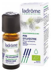 Ladrôme Organic Essential Oil Pinus Sylvestris (Pinus Sylvestris) 10ml Ladrôme Organic Essential Oil Pinus Sylvestris (Pinus Sylvestris) 10ml